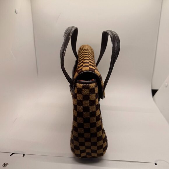 Vintage Limited Edition Louis Vuitton Damier Sauvage Lionne Pony Hair Handbag - Picture 10 of 12
